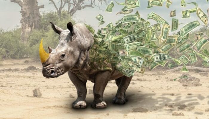 Cites Rhino Files – Death or glory for species on the ban wagon?