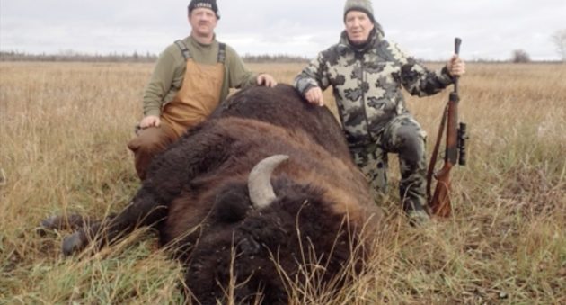 One Shot From A .458 Lott Puts This Bison Down!