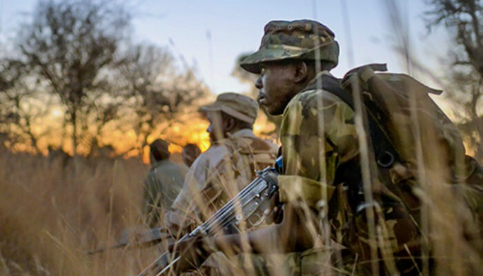 COVID-19 increases the pressure:  Botswana’s Rhino-Poaching Crisis