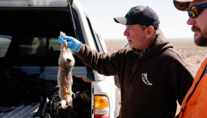 How to Hunt Late Winter Cottontails | MeatEater Hunting