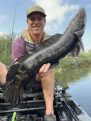Angler holding a snakehead