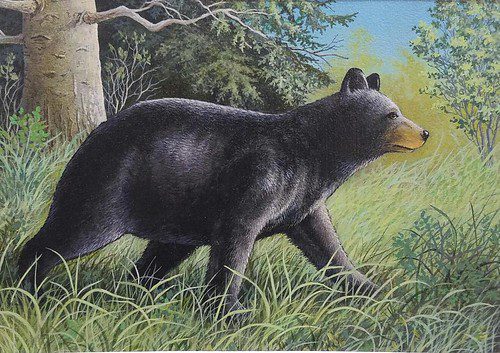 Painting of a bear in a meadow