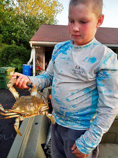 Photo of a boy holding a blue crab