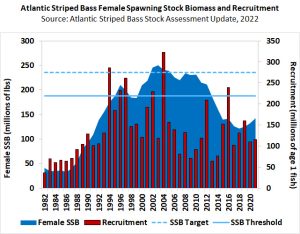 Graph showing striped bass female spawning stock biomass over time