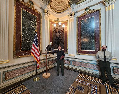 Photo of rangers in ornate room with an eagle on a perch