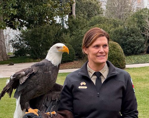 Photo of woman with an eagle perched next to her, standing in a garden area
