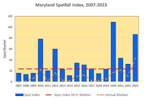 A graph showing the spatfall index from 2007 to 2023. The most recent survey shows a high index as well as a high annual median, signaling good distribution.