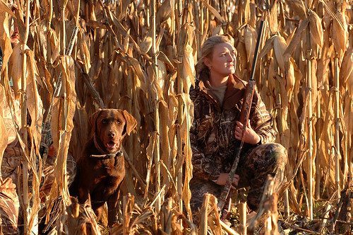 Photo of woman and dog hunting in a cornfield