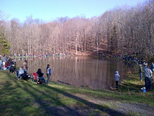 Photo of people gathered around a lake to fish